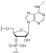 Unit Structure: N6-Methyl-adenosine